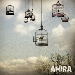 amira-live